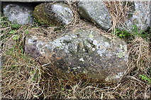 NY5805 : Benchmark on stone in wall north of High Whinhowe by Roger Templeman