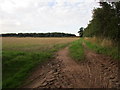 Track at Crookford Farm