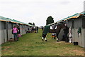 Temporary stabling at the British Riding Clubs