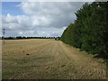 Stubble field and hedgerow