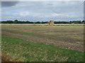 Flat farmland towards the River Witham