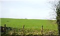 Pasture by the A56