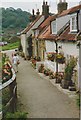 Sandsend cottages