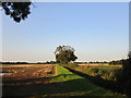 Grassy track off Drain Lane