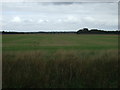 TF1662 : Flat farmland, Martin Dales by JThomas