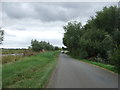 National Cycle Route 1 near Willow Tree Farm 