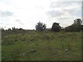 Coseley Scrubland View