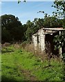 Shed, Lower Budlake