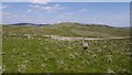 NT3228 : Upland grazing above Yarrow by Richard Webb