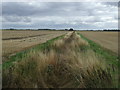 Drain, Thorpe Tilney Fen