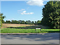 Field south of Church Street, Guilden Morden