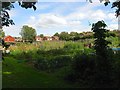 Allotments, Lindfield