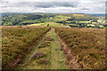 SO1450 : Footpath Through Moorland near Cregrina, Powys by Christine Matthews
