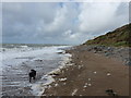 Beach near Whitriggs