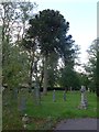 Ash Cemetery, Late September 2015 (II)