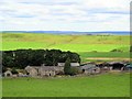 Cawfields Farm north of Hadrian