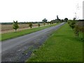 Tree-lined drive to Sheds Farm