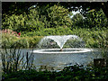 Fountain on Lake, Capel Manor, Enfield