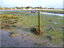 SU8003 : Low tide at Bosham by Marathon