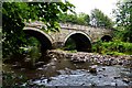 Bridge of Fintry [2]