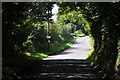 West Somerset : Ash Lane