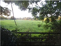 TQ5571 : Field by Old Mill Farm, Darenth by David Howard