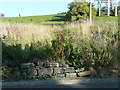 Overgrown section of FP23, Elland