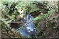 Waterfall, Lambdoughty Glen