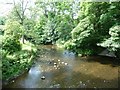 Harden Beck at Beck Foot