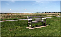 TG4013 : Seat beside the footpath along the River Bure by Evelyn Simak