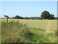 Looking along field path from junction