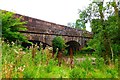 Old bridge over the Endrick Water