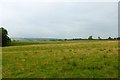 Pasture near Gartness Bridge