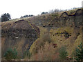 Quarry face , Glodwick Lows