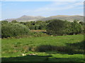 Cae ger Bryn-graianog - Field near Bryn-graianog