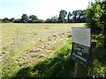 Diagonal path across field