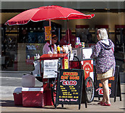 NT2473 : Hot dog vendor by William Starkey