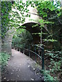 Bridge over Barnsley Canal