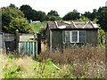 Allotment shed near Hare Park Junction