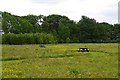 Meadow, Kellie Castle