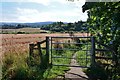 Path by the Tay