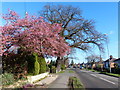 Cropston Road in Anstey