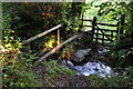 West Somerset : Small Stream