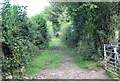 Footpath to Cyncoed Farm