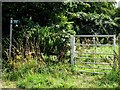 Gate to Aves Ditch