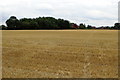 Footpath towards Several Woods Farm