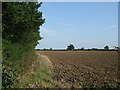 Field beside Grange Plantation