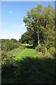 Footpath along the edge of the wood