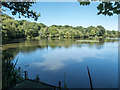 TQ2796 : Jack's Lake, Hadley Wood, Barnet by Christine Matthews