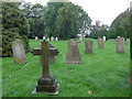 Early morning at Fairlee Road Cemetery (v)